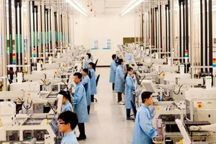 棒呆 四川新設(shè)自貿(mào)試驗區(qū),成都當(dāng)仁不讓