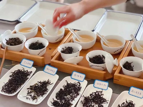 食品安全國家標(biāo)準(zhǔn) 茶葉 gb 31608 2023